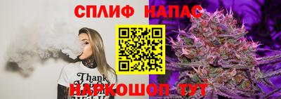 дмт Славгород