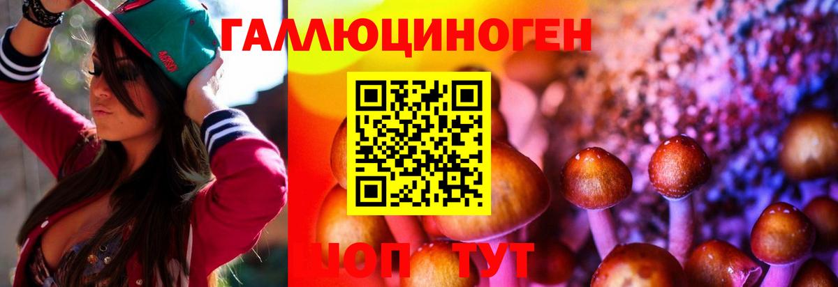 Галлюциногенные грибы мицелий Можга