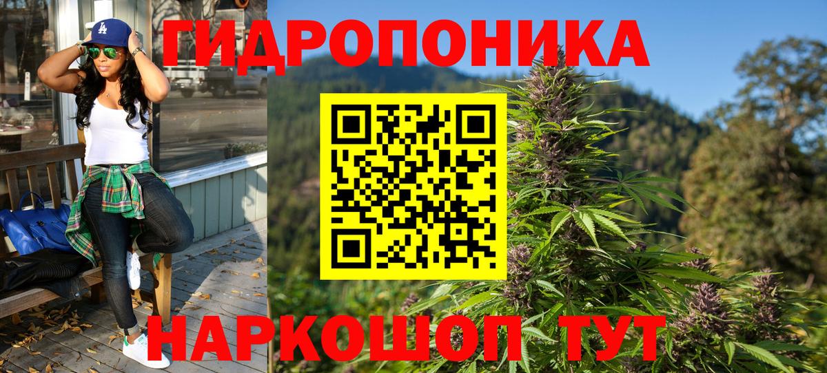 Марихуана MAZAR  Шишки марихуана план  Можга  Вход с VPN 